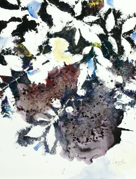 Végétal / Transfert, 5